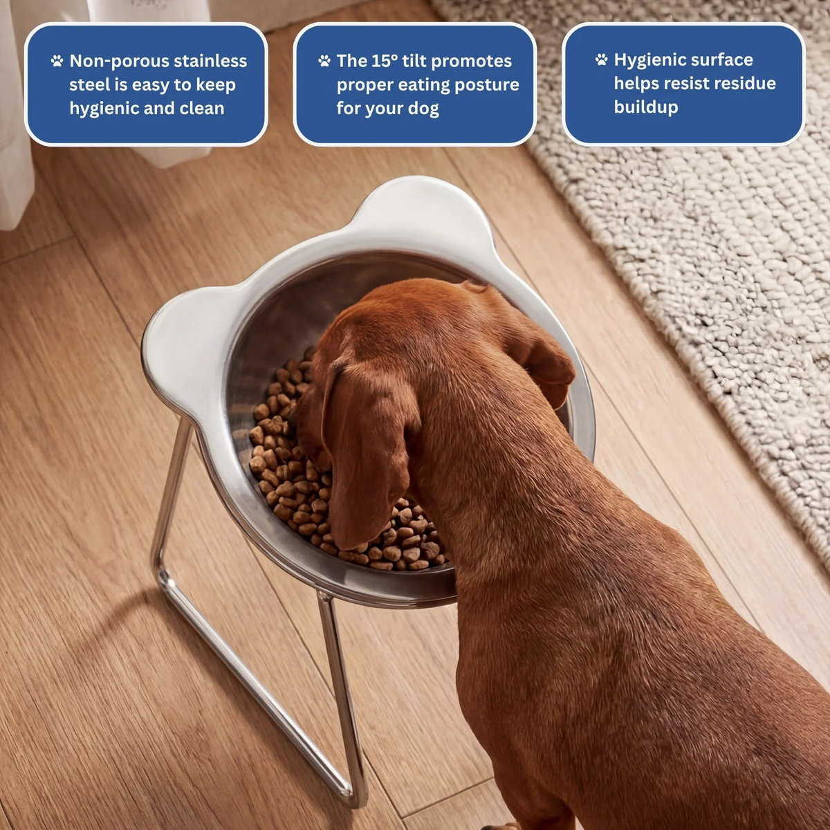 Orthopedic Feeding Bowl for Dogs and Cats