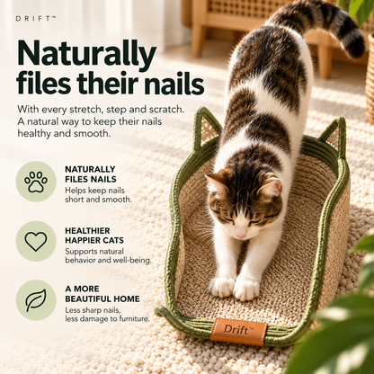 Drift™ Handwoven Territory Basket for Cats