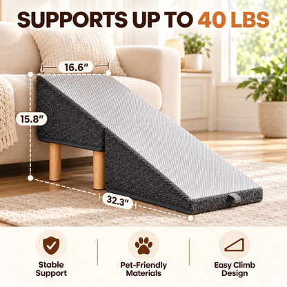 PawRise 2-in-1 Pet Ramp & Stool