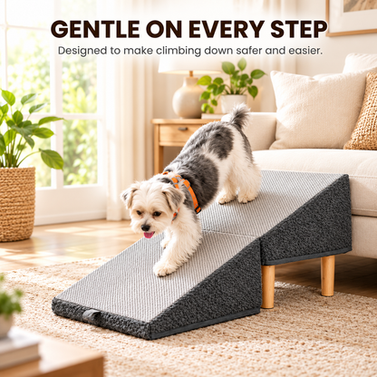 PawRise 2-in-1 Pet Ramp & Stool