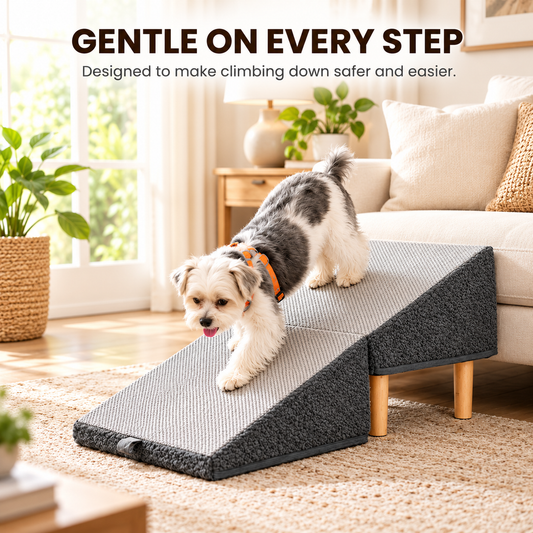PawRise 2-in-1 Pet Ramp & Stool