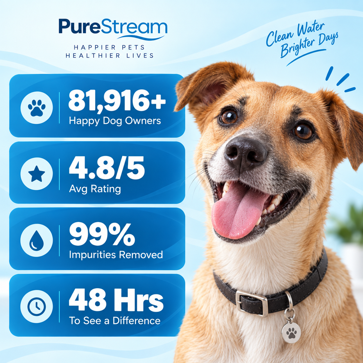 PureStream™ Flowing Water Fountain for Dogs & Cats