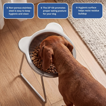 Orthopedic Feeding Bowl for Dogs and Cats