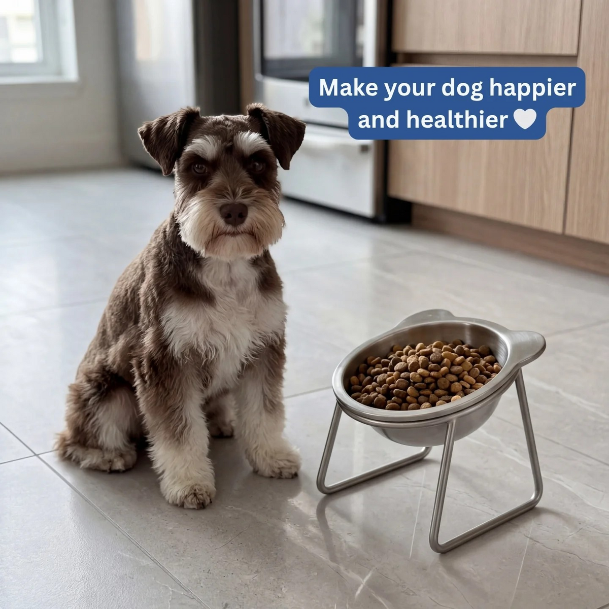 Orthopedic Feeding Bowl for Dogs and Cats